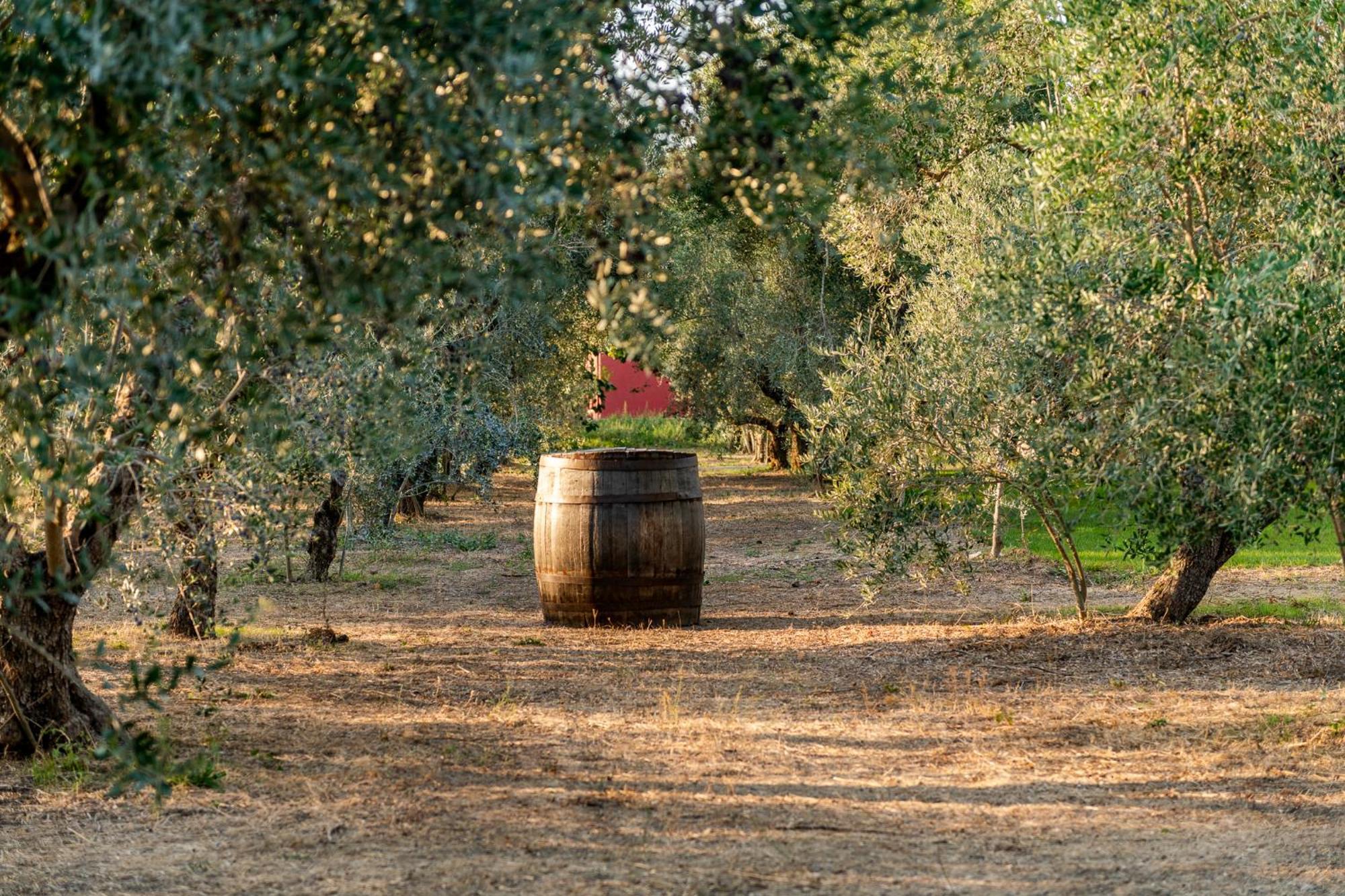 Estate Oasi Verde Casin Anand Novoli Esterno foto